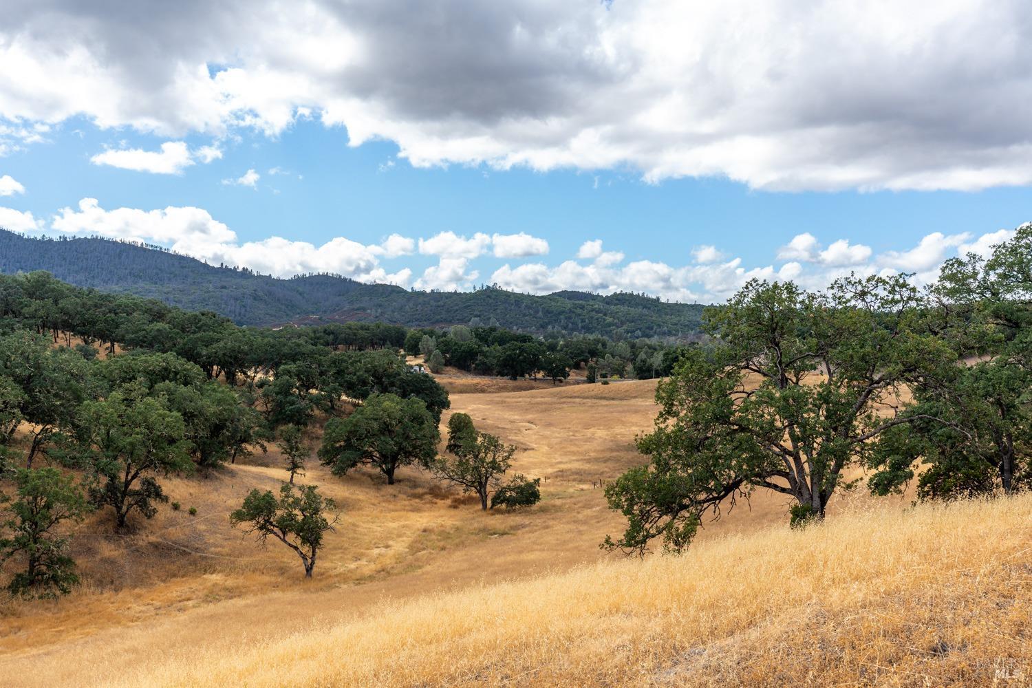 7440 S State HWY 29 Hwy