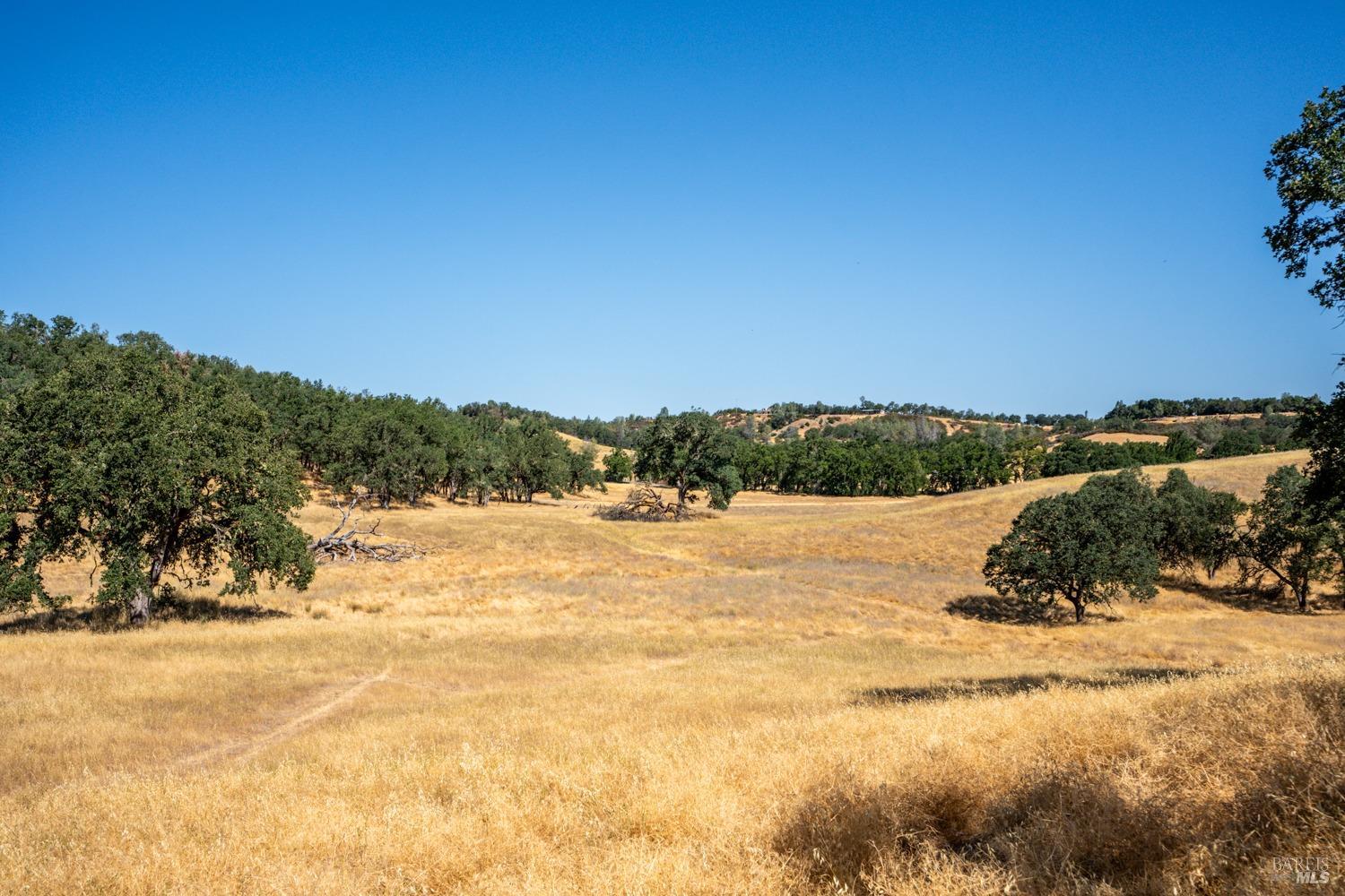 8305 Kelsey Creek Dr