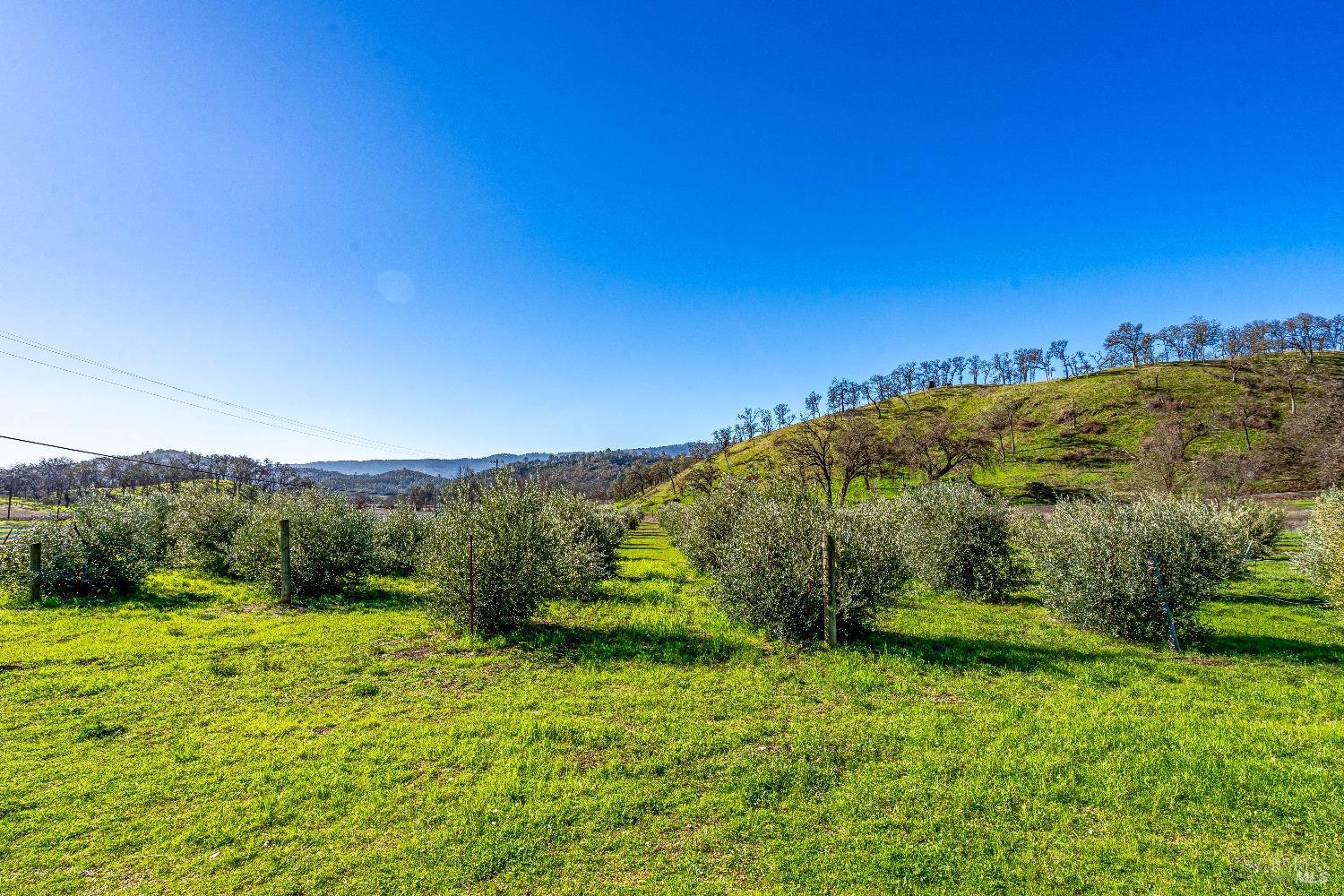 7871 Butts Canyon Rd