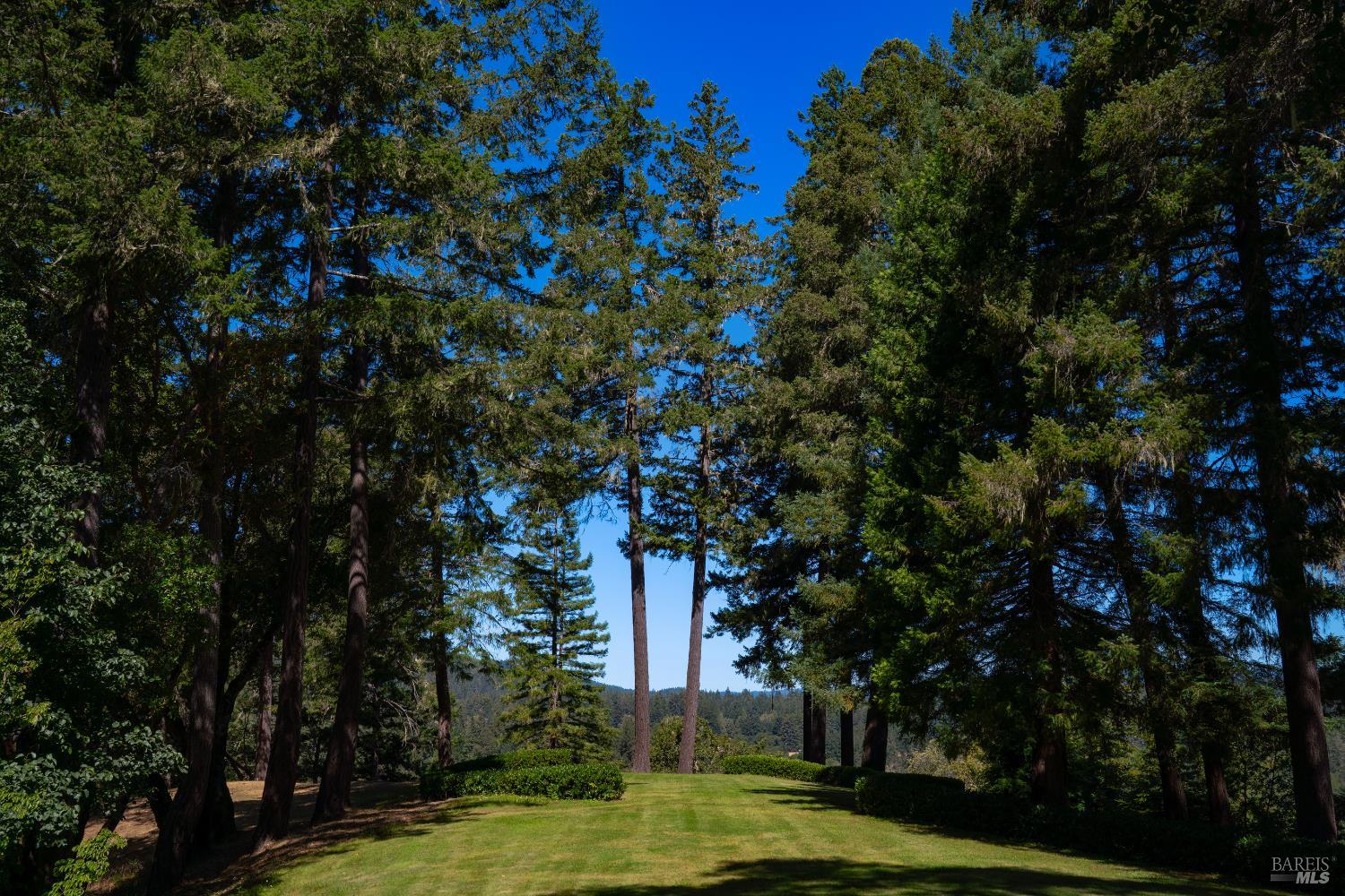 20205 Tumbling Mcd Rd