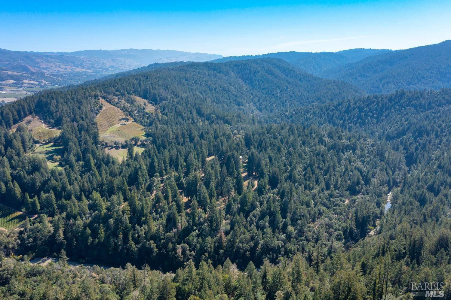 20205 Tumbling Mcd Rd