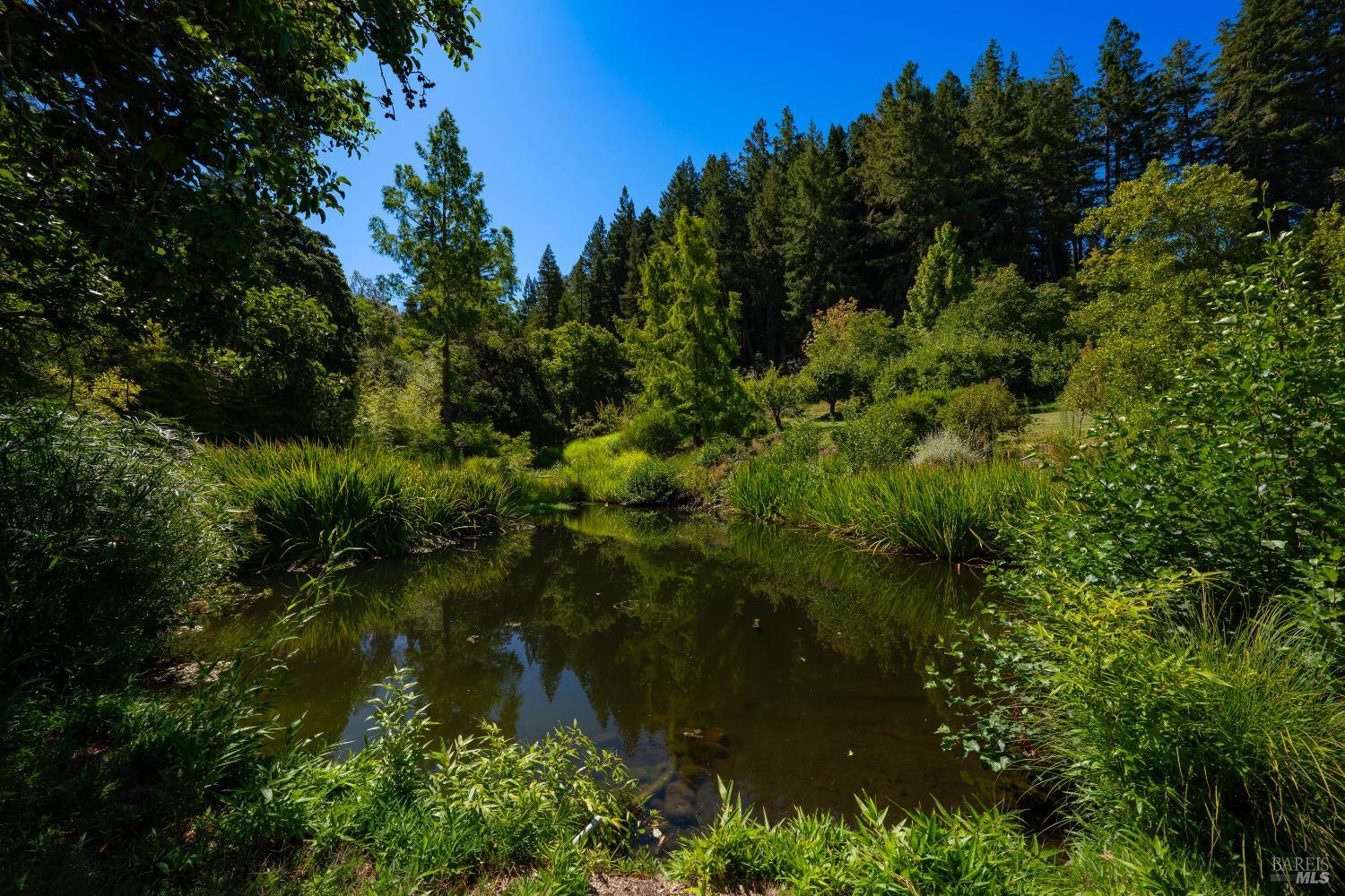 20205 Tumbling Mcd Rd