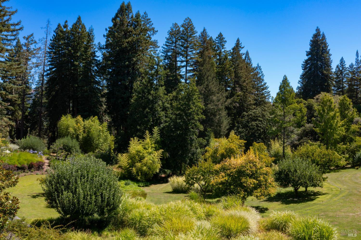 20205 Tumbling Mcd Rd