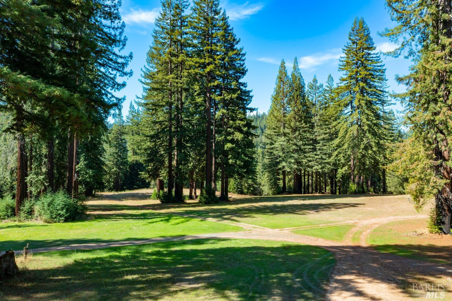 20205 Tumbling Mcd Rd