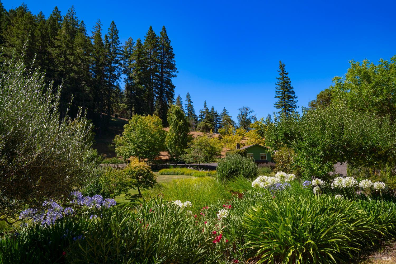 20205 Tumbling Mcd Rd