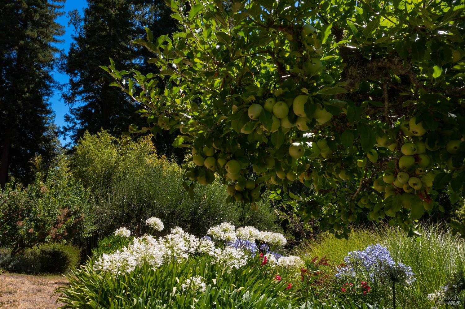 20205 Tumbling Mcd Rd