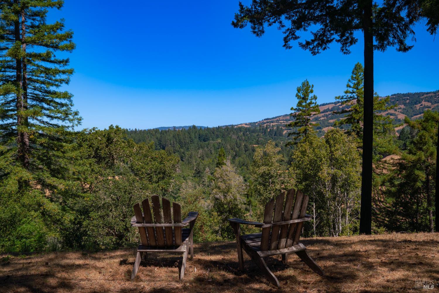 20205 Tumbling Mcd Rd