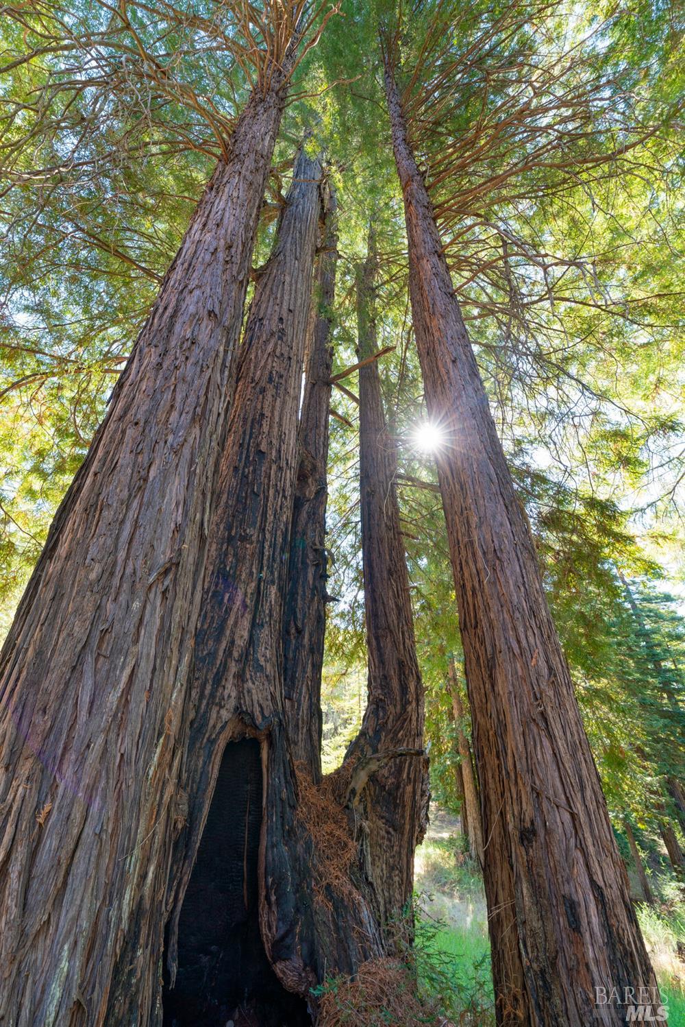 20205 Tumbling Mcd Rd