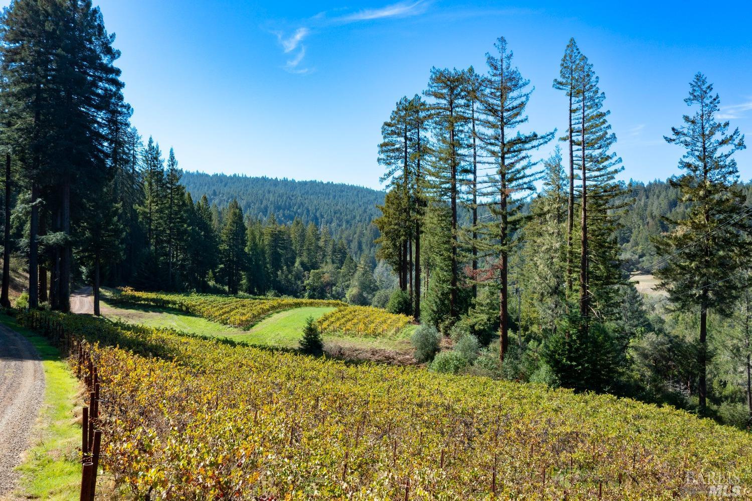 20205 Tumbling Mcd Rd