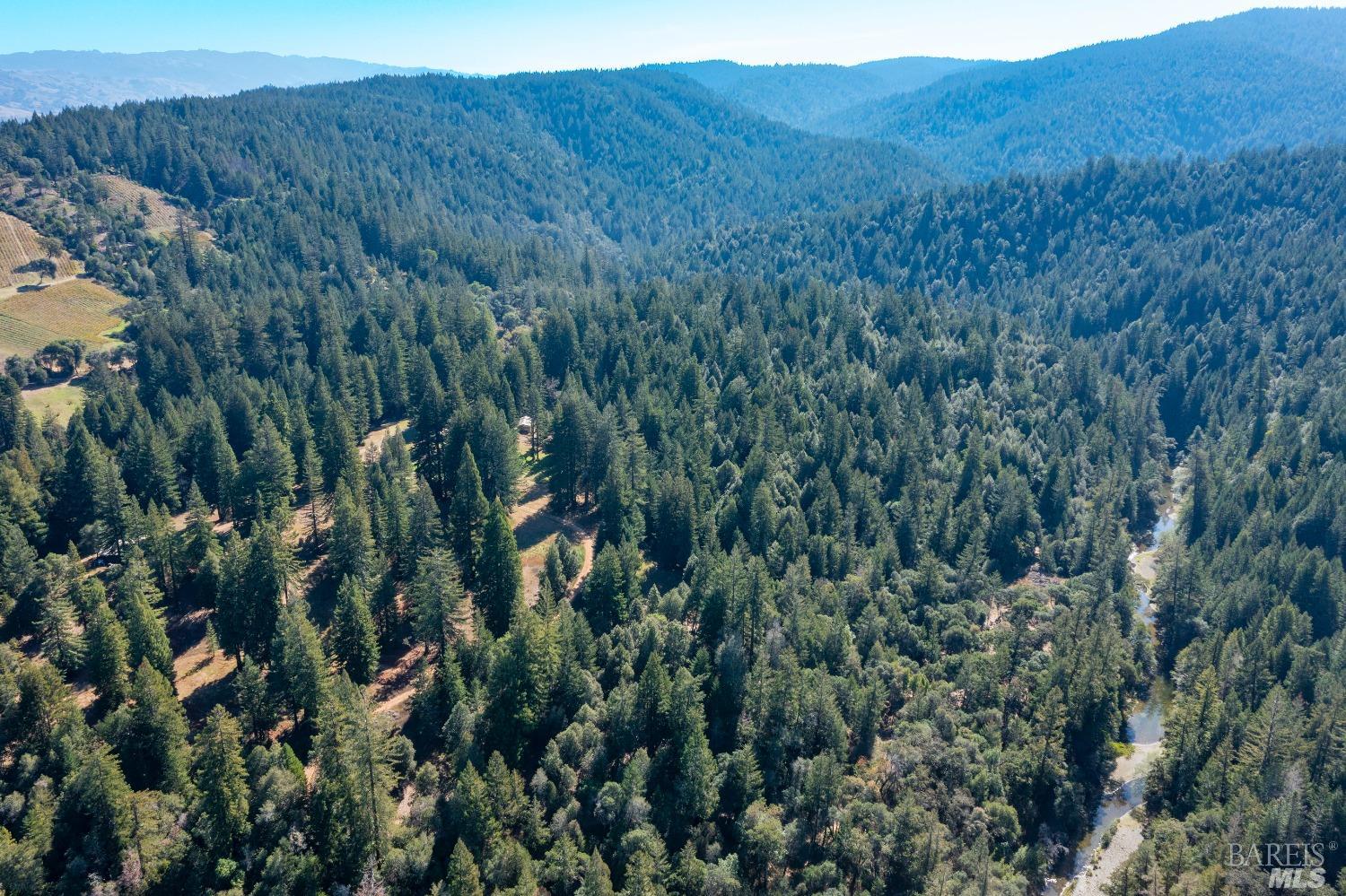 20205 Tumbling Mcd Rd