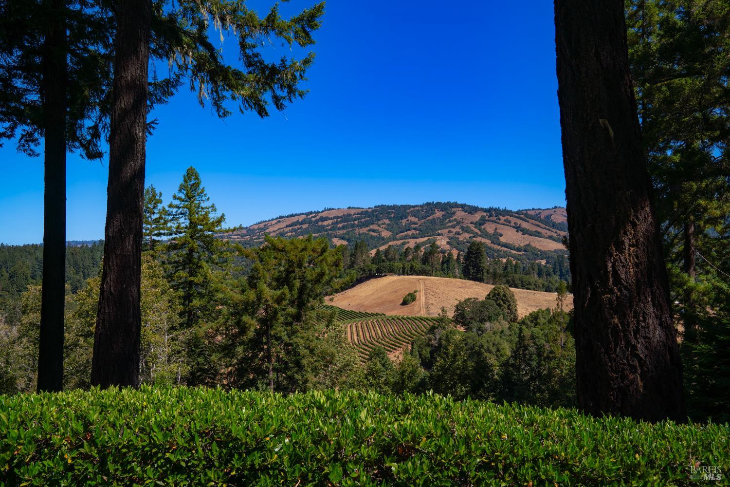 20205 Tumbling Mcd Rd