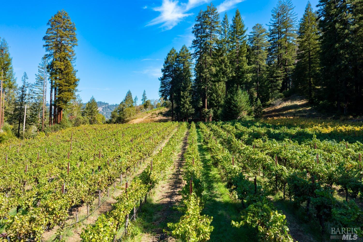 20205 Tumbling Mcd Rd