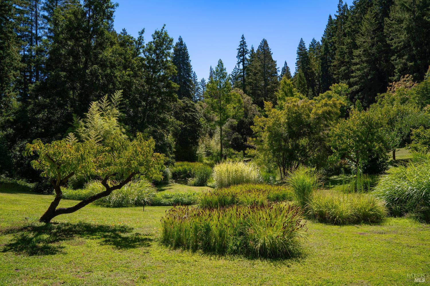 20205 Tumbling Mcd Rd