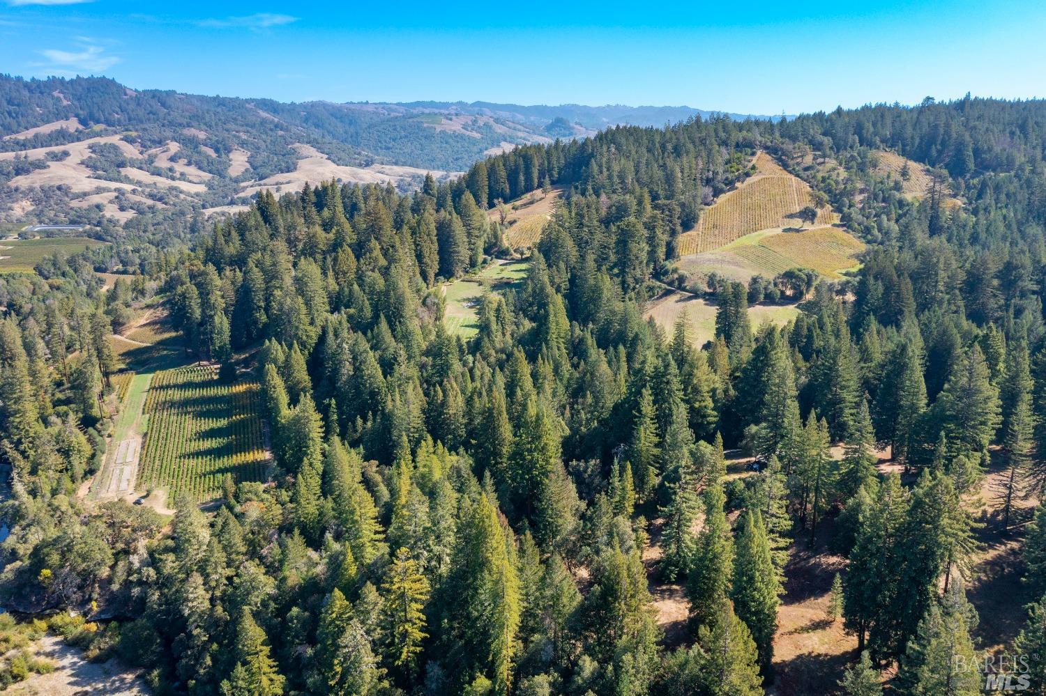 20205 Tumbling Mcd Rd