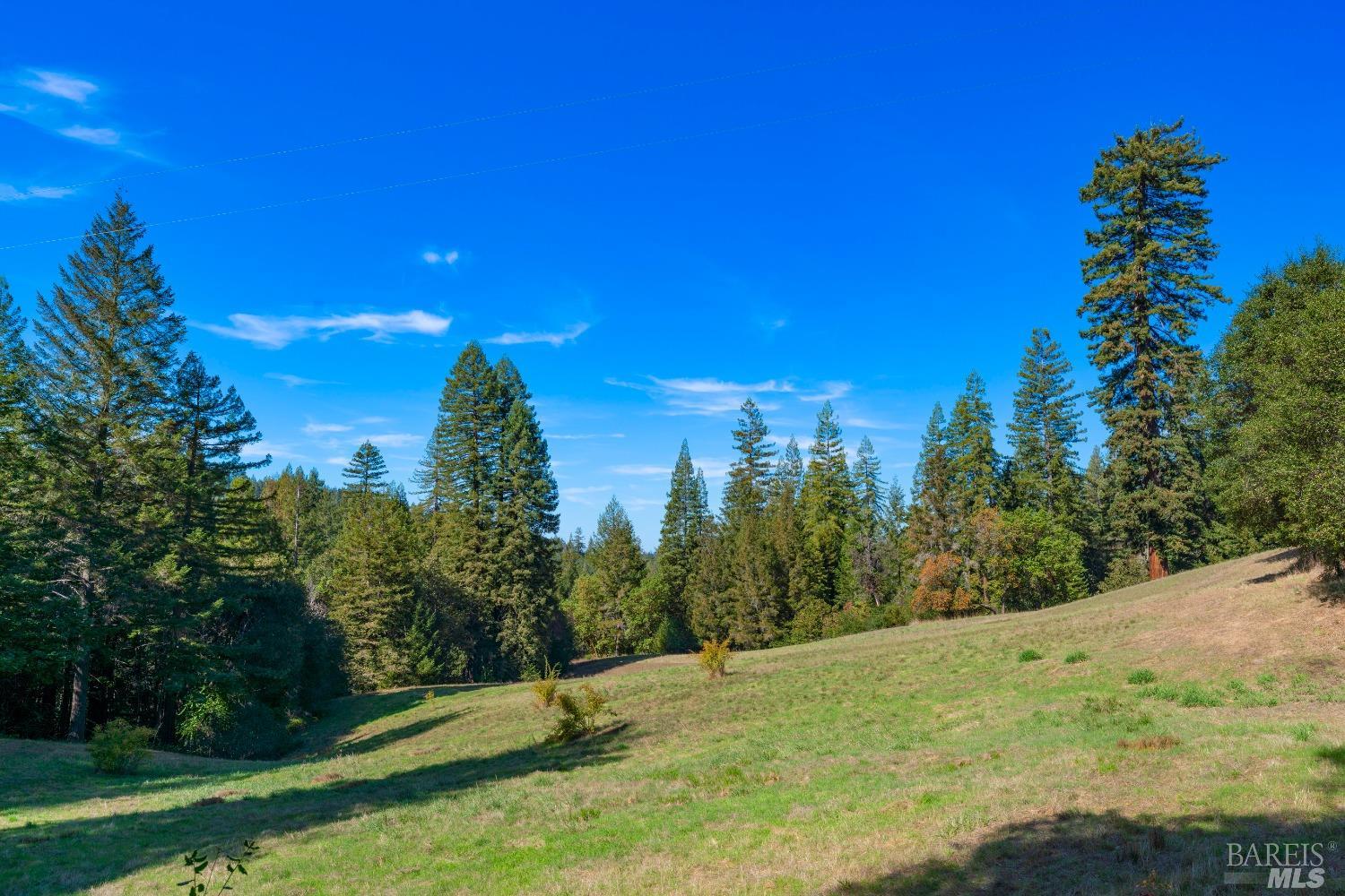 20205 Tumbling Mcd Rd