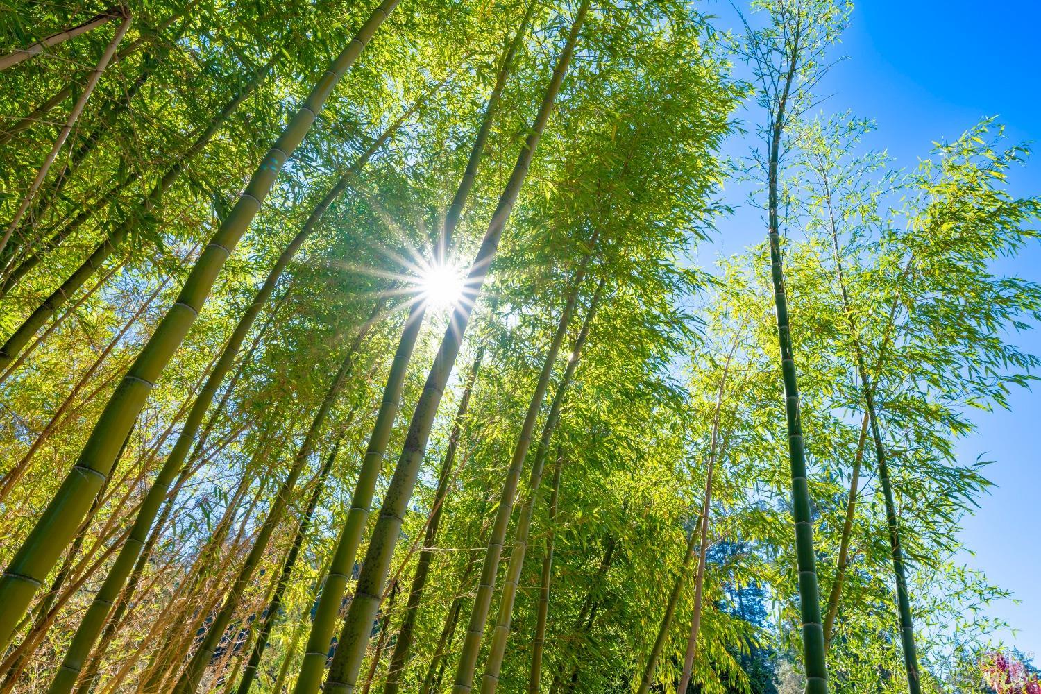 20205 Tumbling Mcd Rd