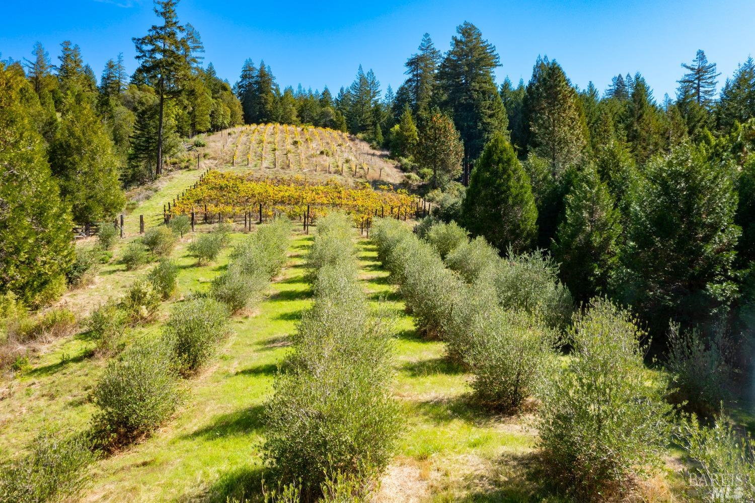 20205 Tumbling Mcd Rd