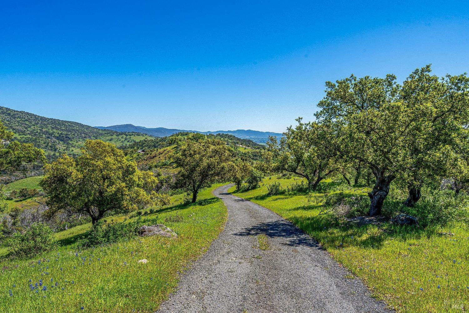 2077 Soda Canyon Road