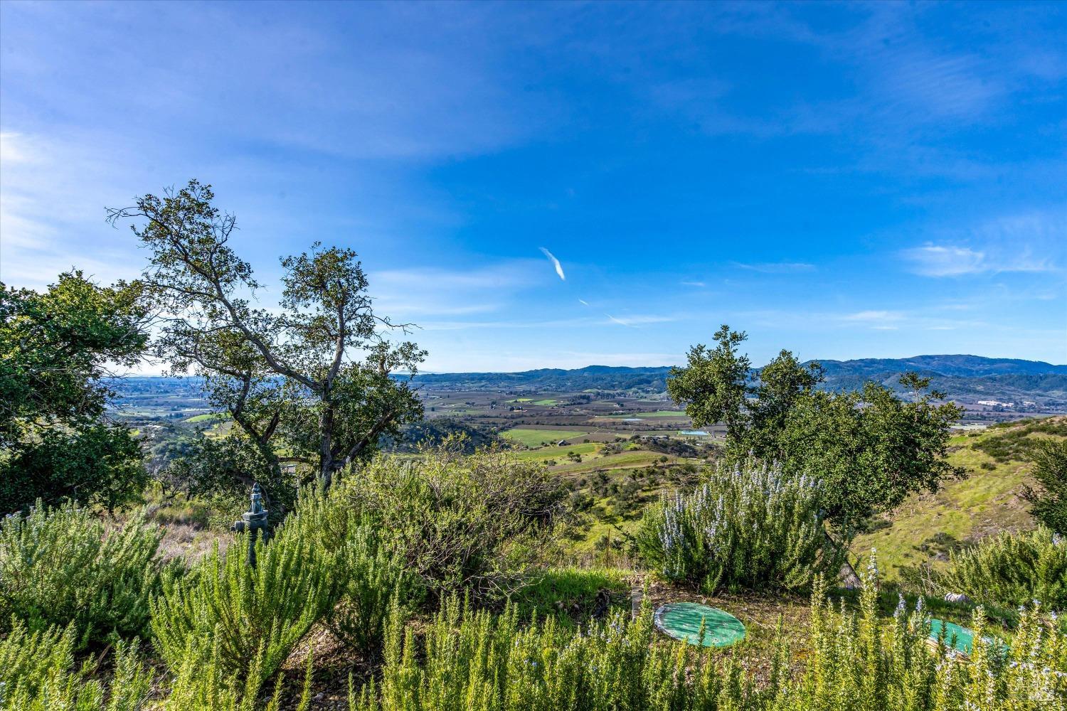 2077 Soda Canyon Road