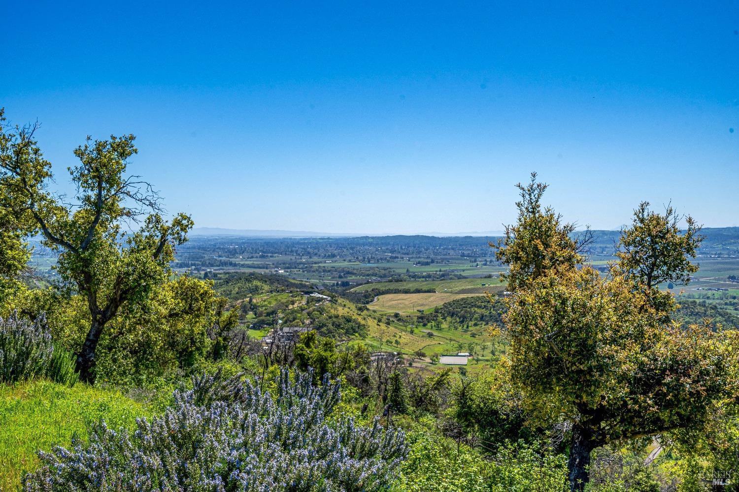 2077 Soda Canyon Road