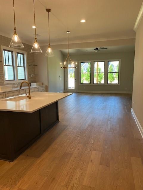 1243 Lakeside Overlook