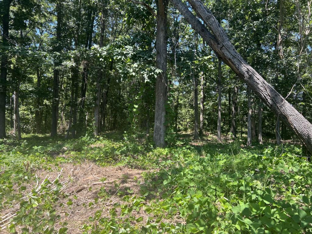 762 Villa Rica Highway