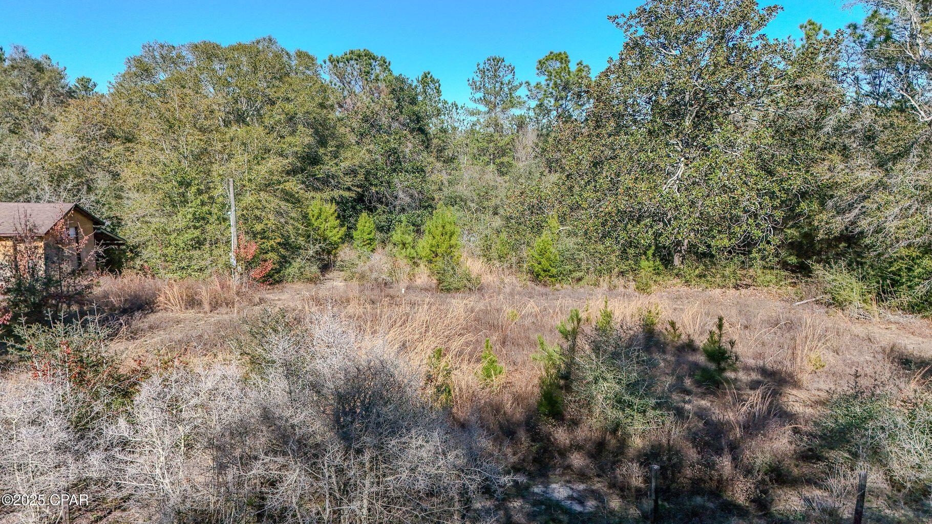 73 Simpson Court, DeFuniak Springs