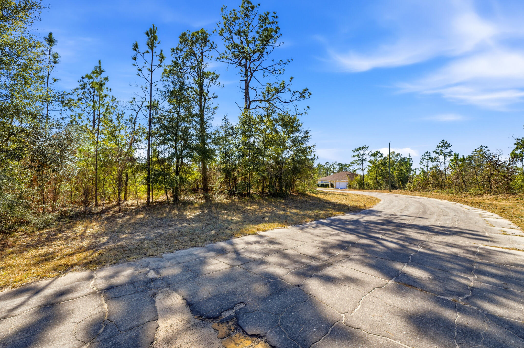 Lot 36 Hernando Circle