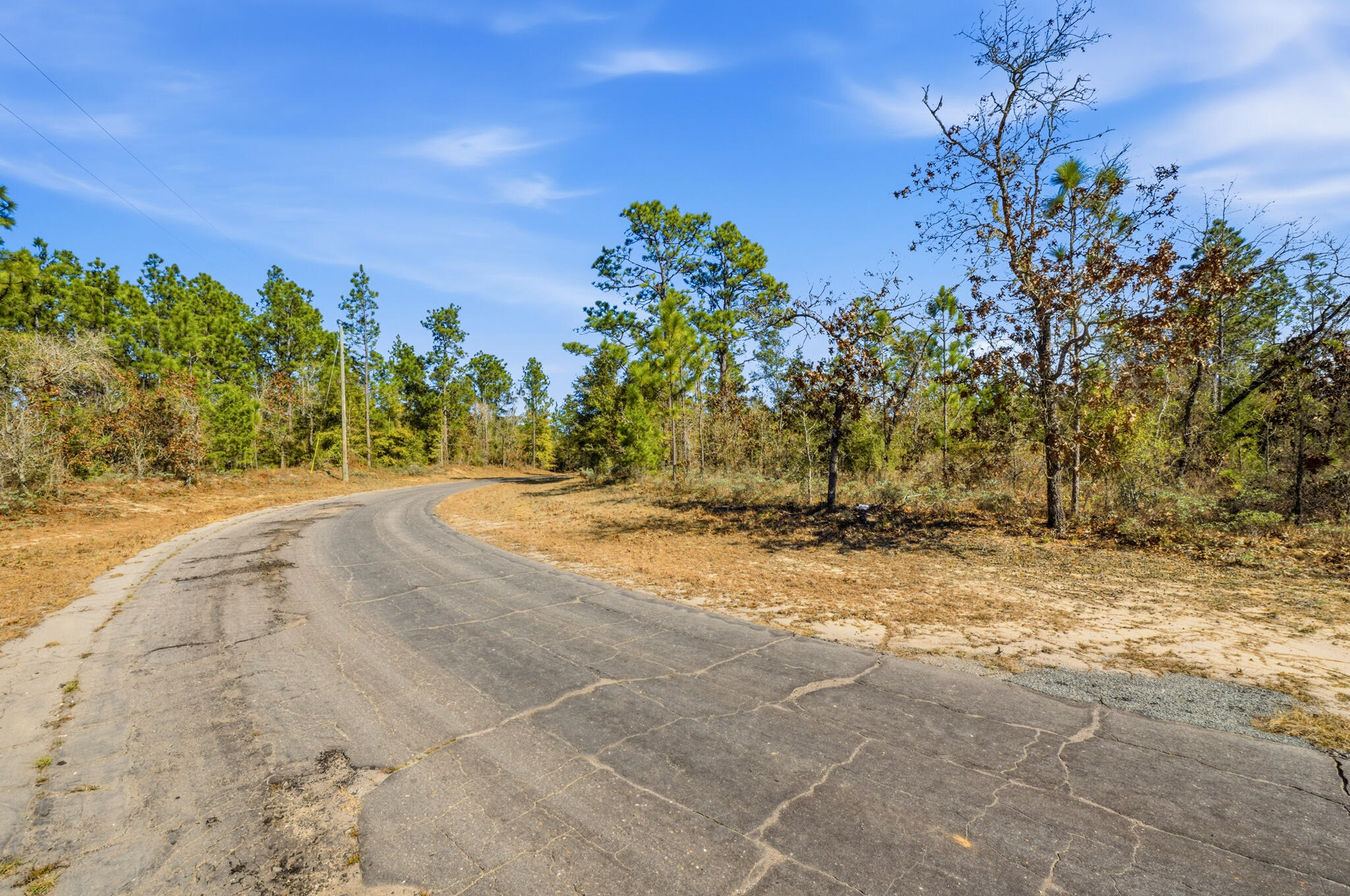 Lot 36 Hernando Circle