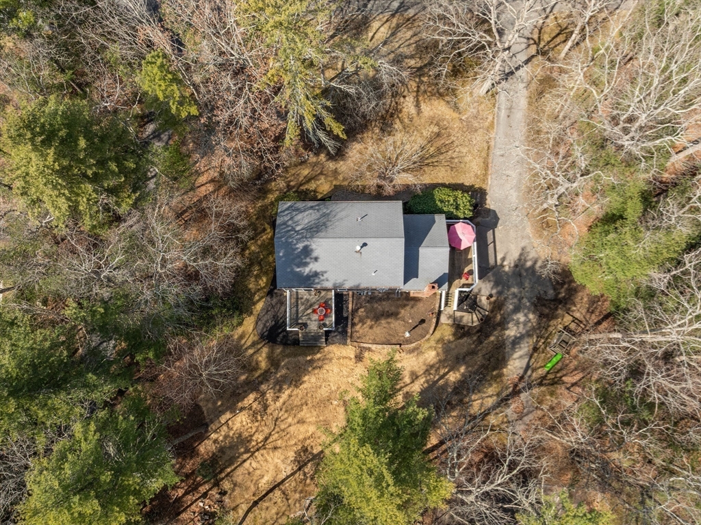 3 Carolina Trail