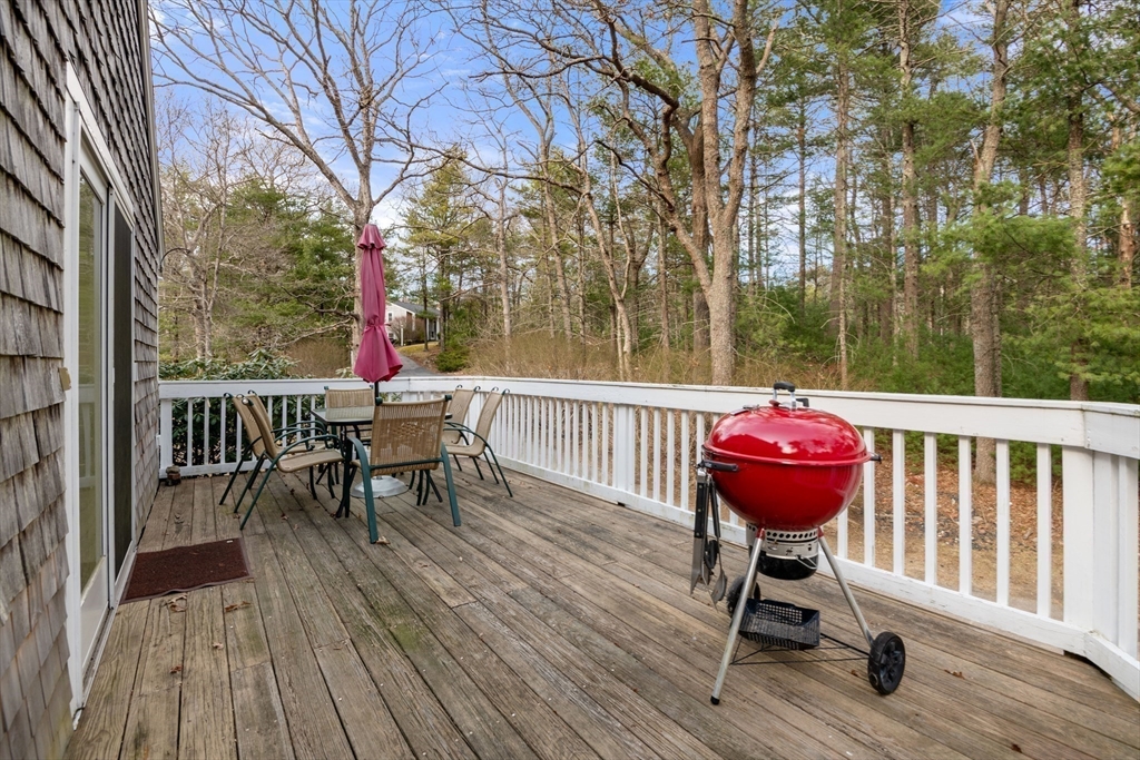 3 Carolina Trail