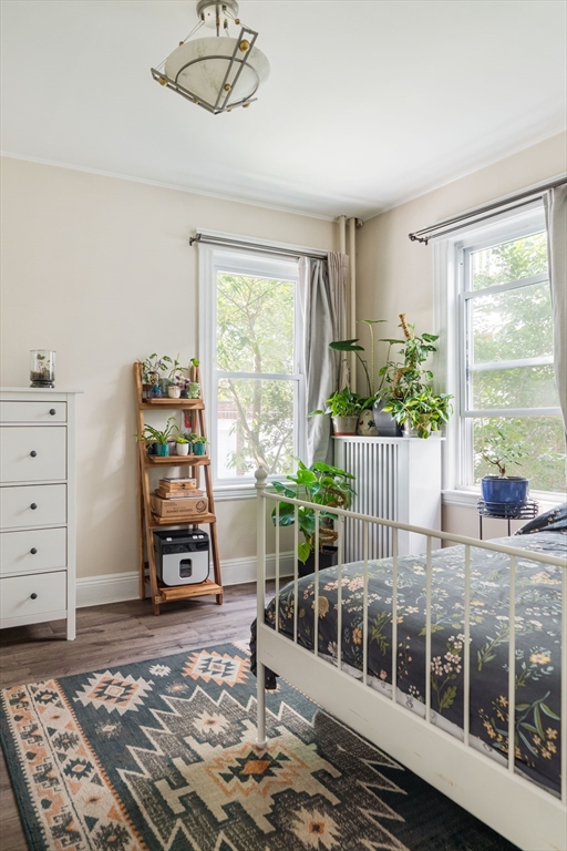 11 Sedgwick Street # 8