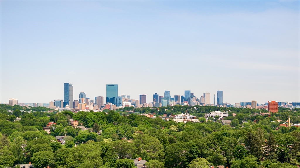 11 Sedgwick Street # 8