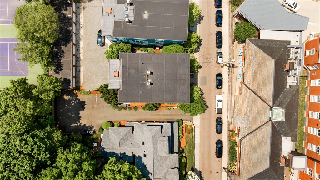 11 Sedgwick Street # 8