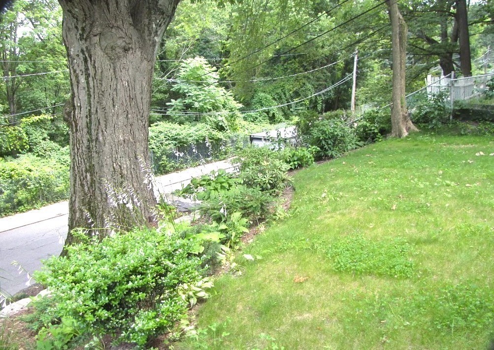 23 Rowe St # 23