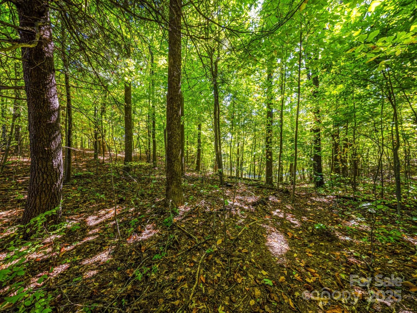 Lot 10 Berry Creek Drive