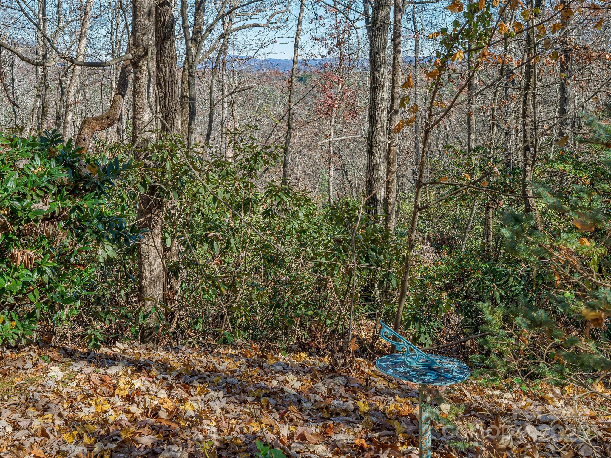 2508 Carriage Falls Court