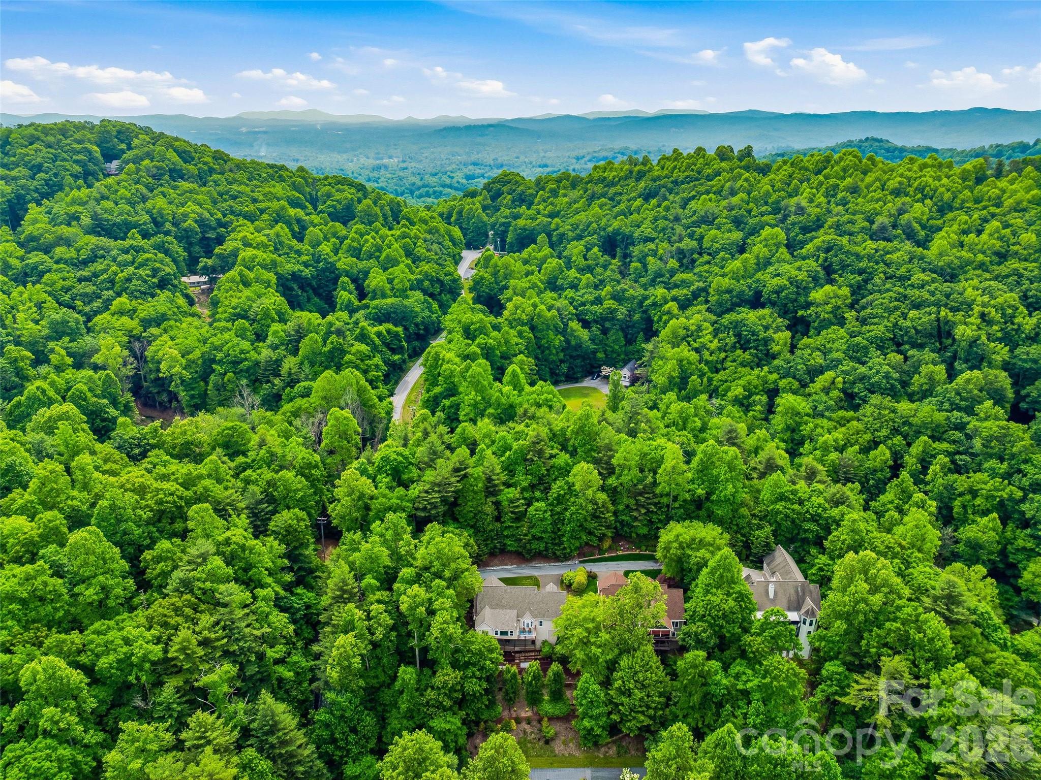 115 Flameleaf Lane