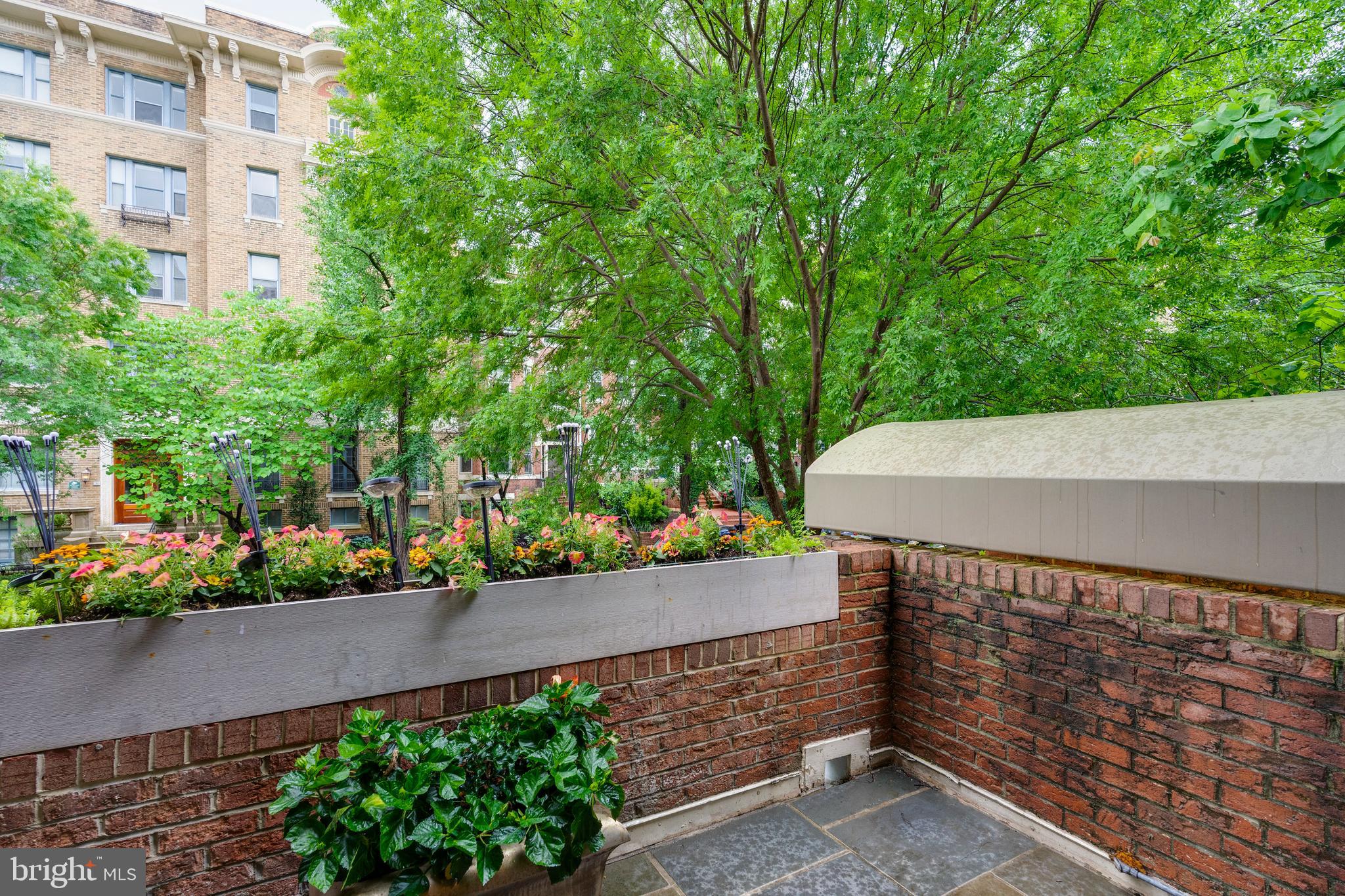 1823 Belmont Rd NW #A