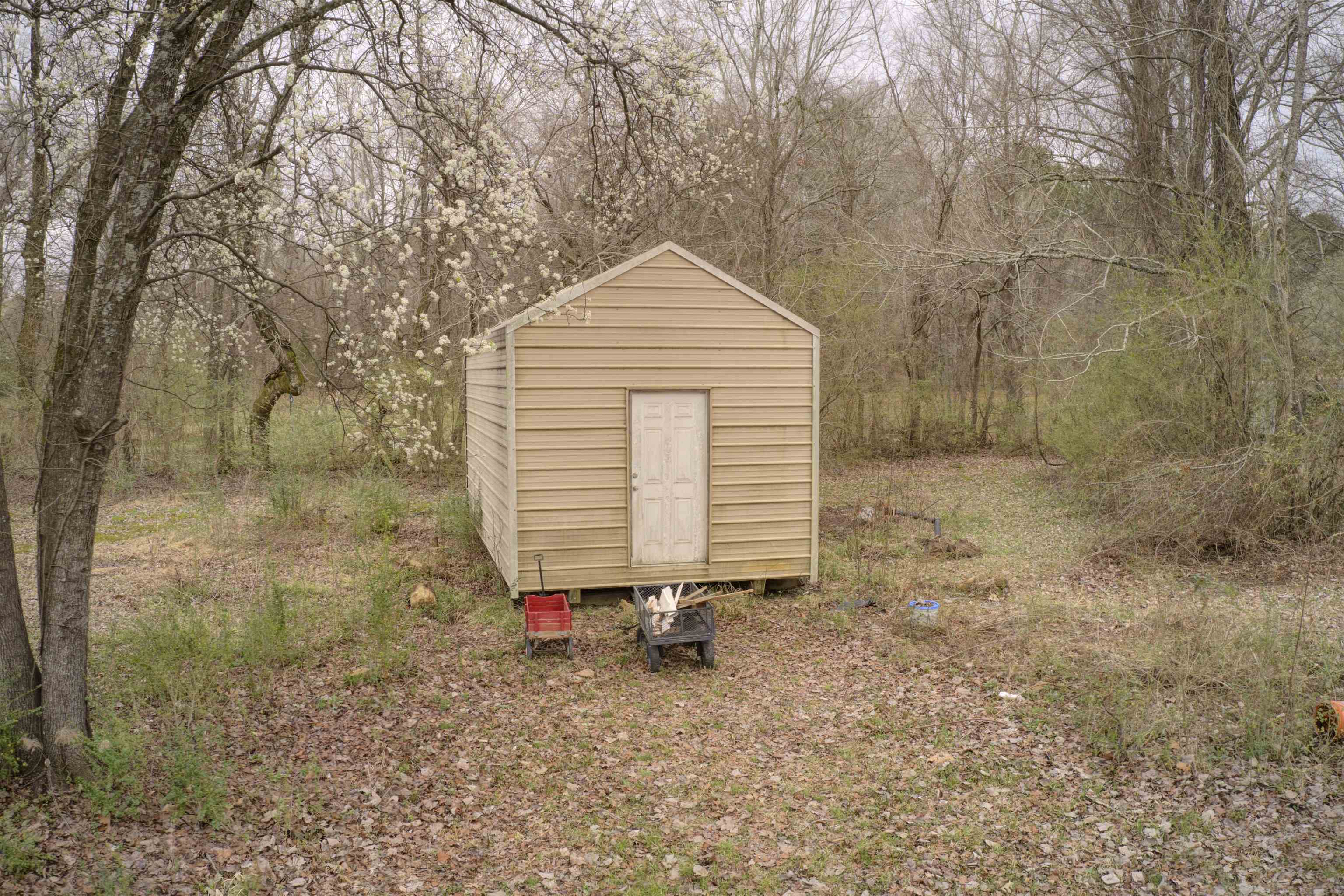 8101 Angela Drive