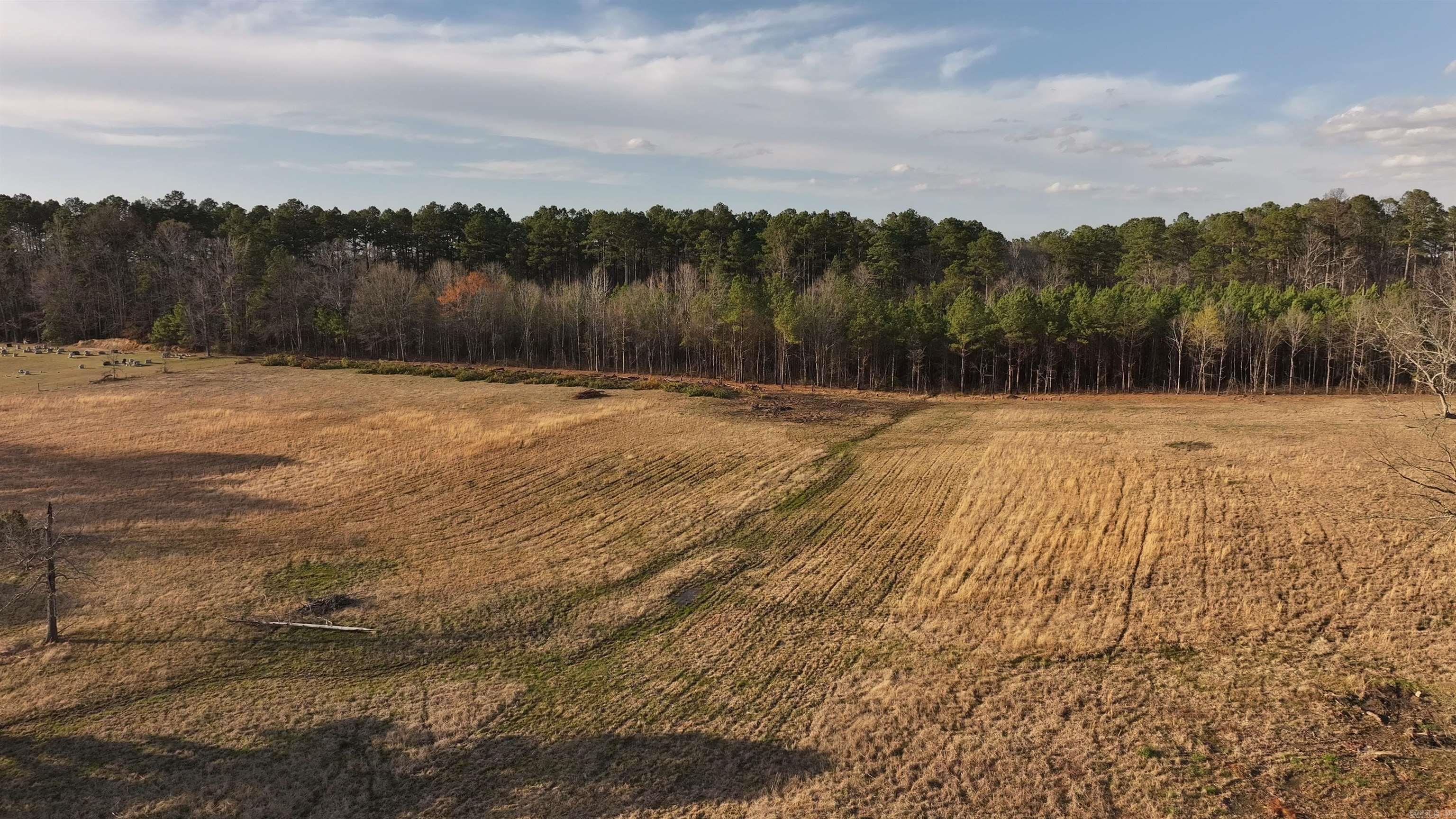 9203 HWY 229