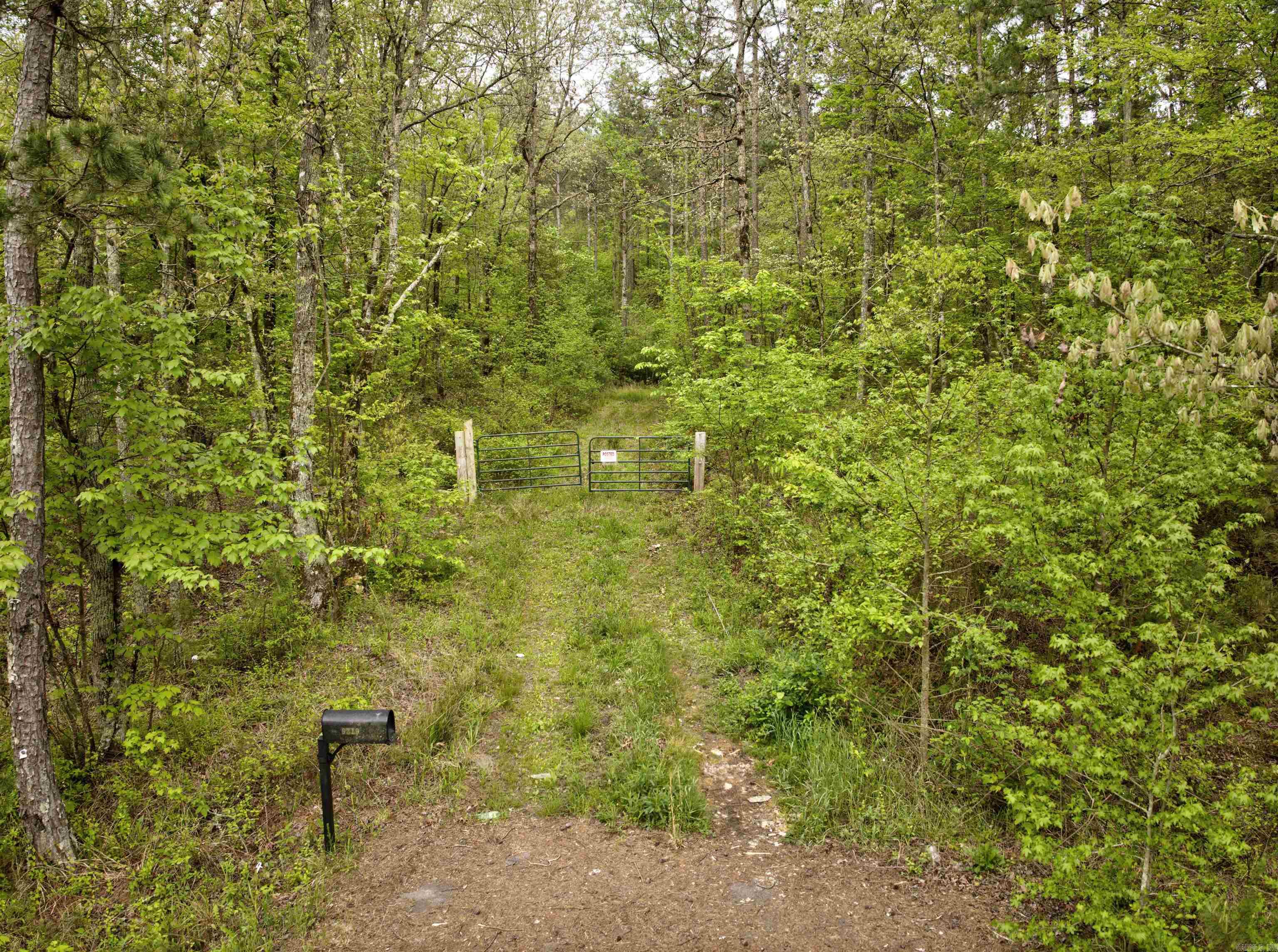 9319 Albert Pike Road