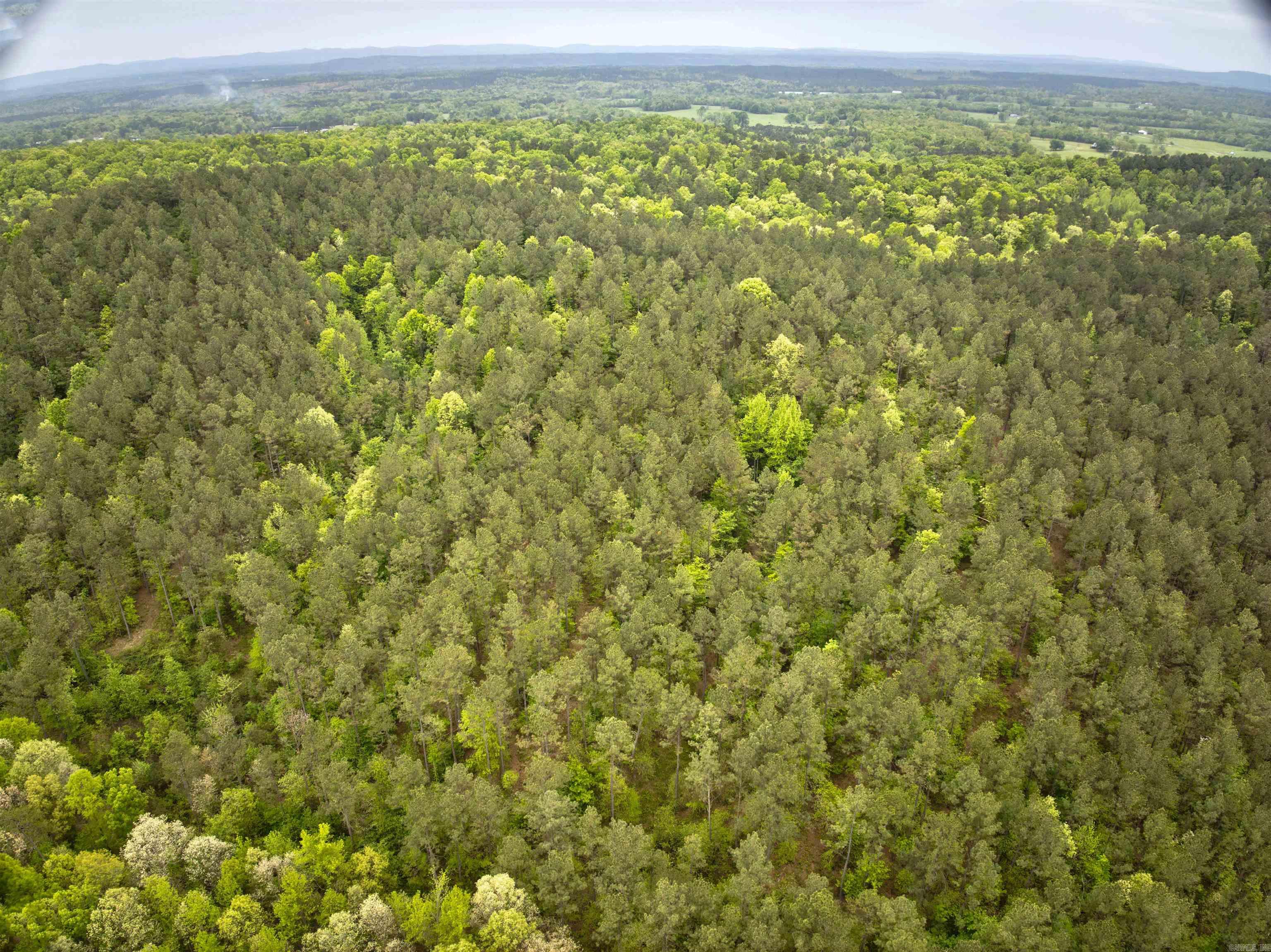 9319 Albert Pike Road