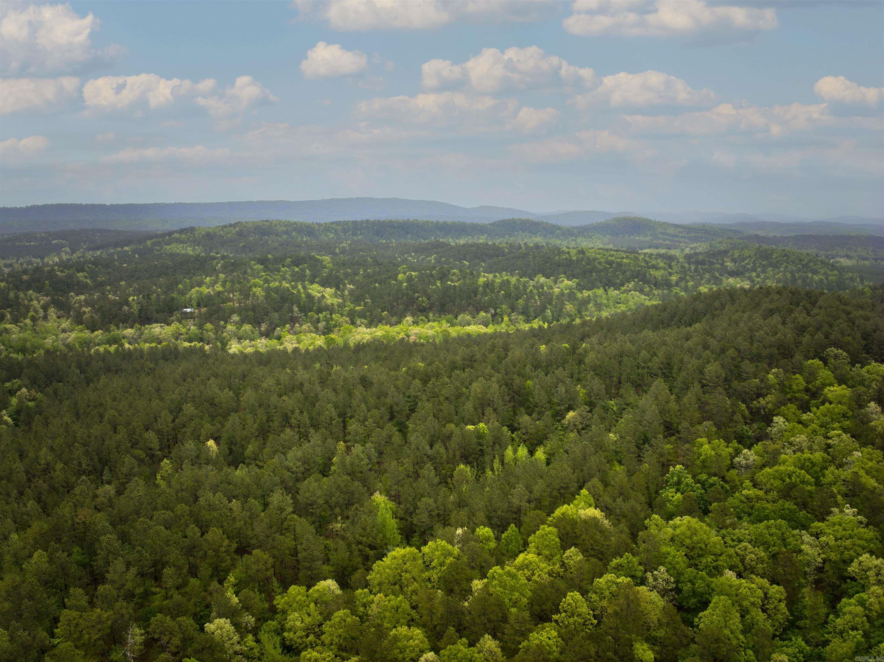 9319 Albert Pike Road