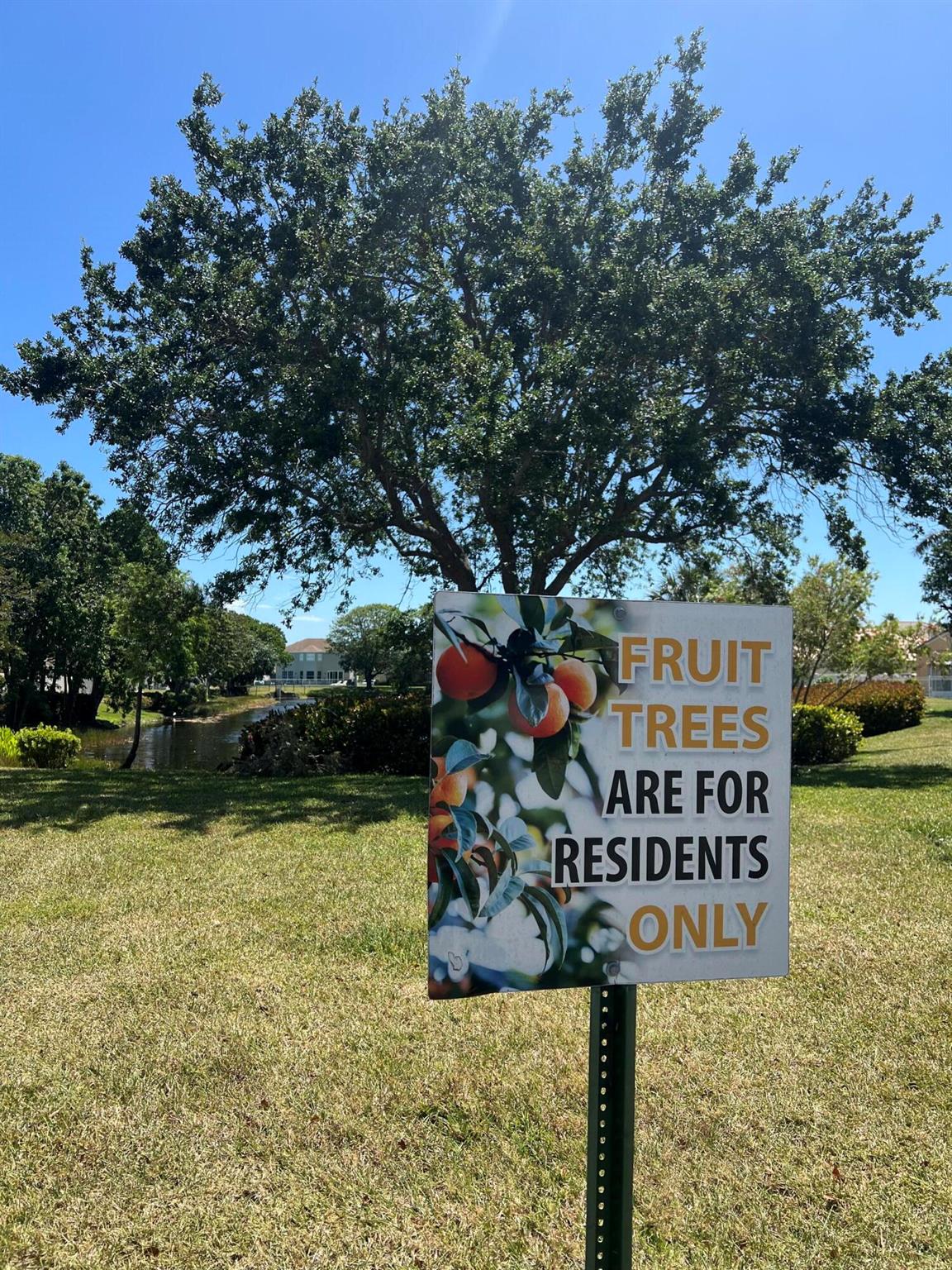 1376 Auburn Court