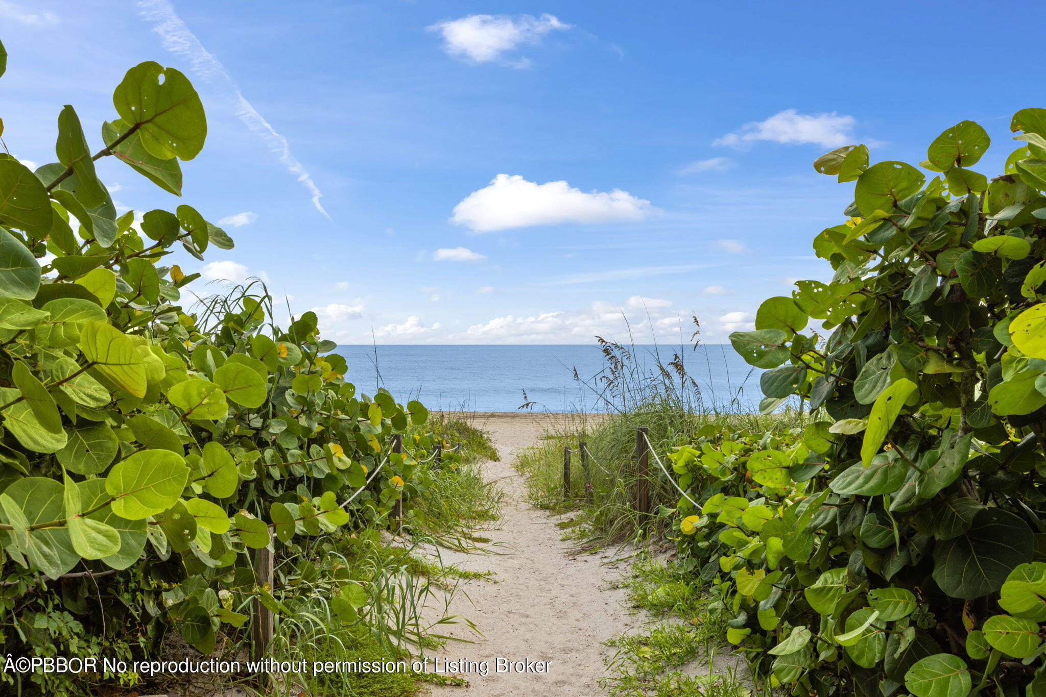 2773 S Ocean Boulevard, 217