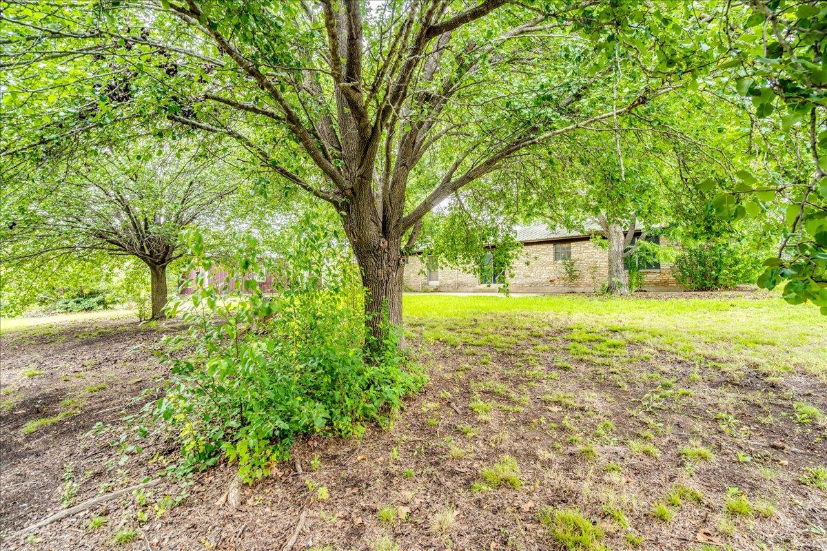 106 Tl Wilson LN