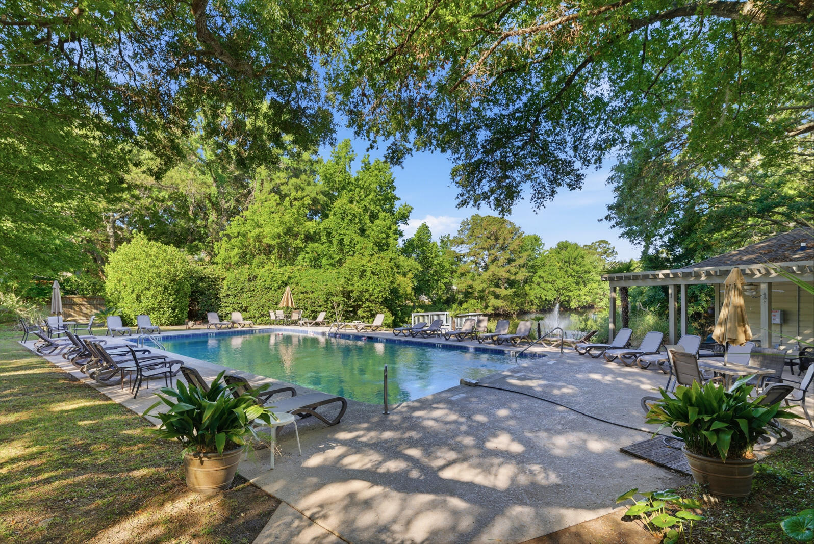 321 Lapwing Lane