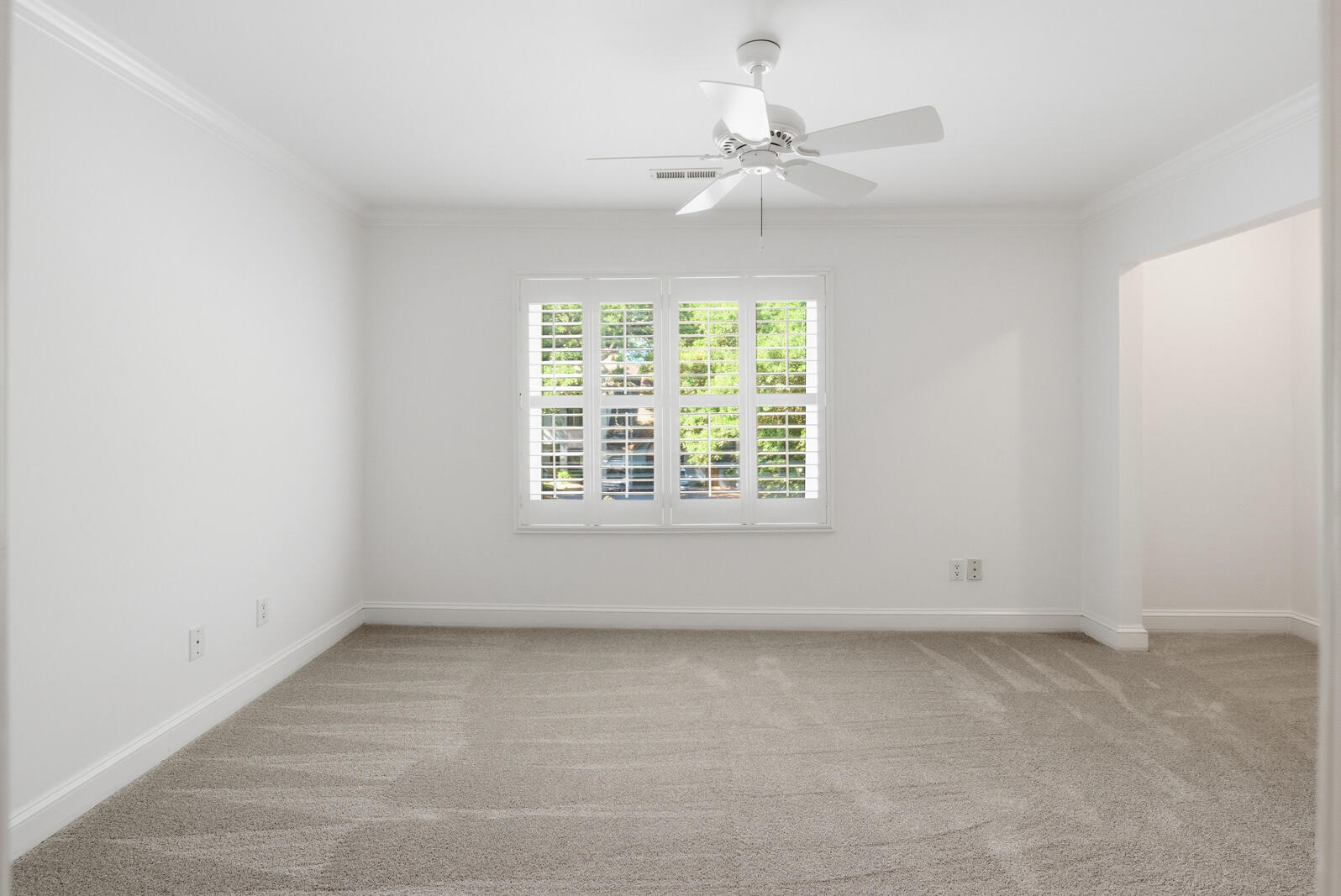 321 Lapwing Lane