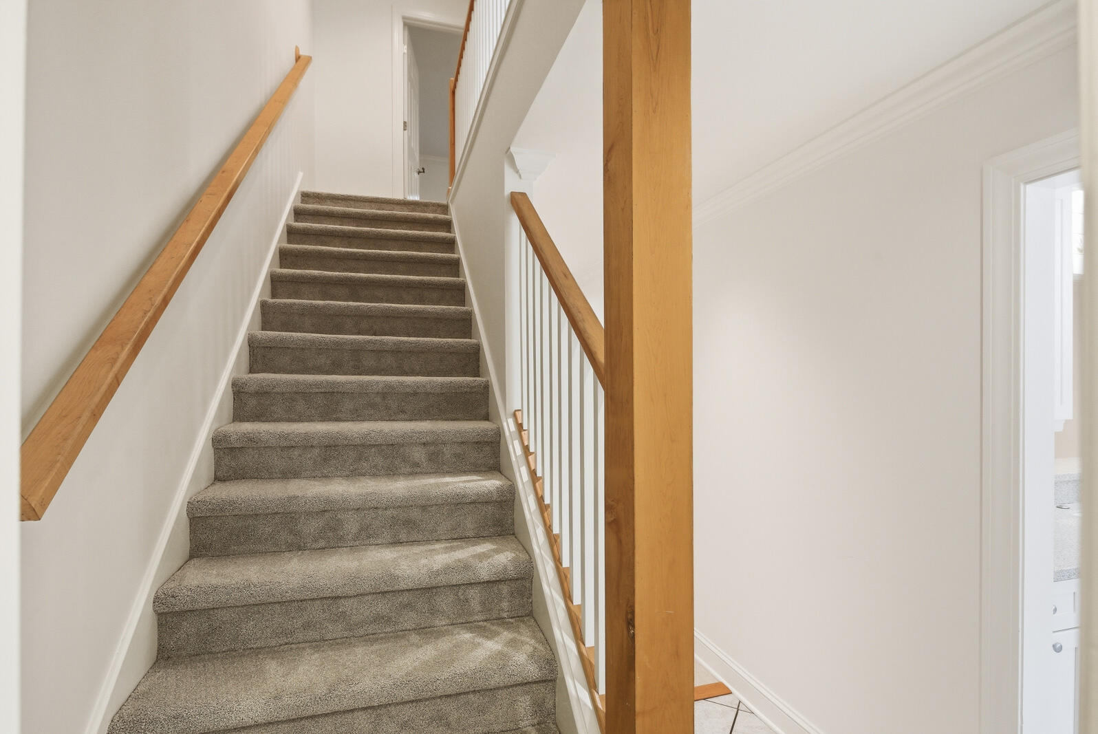 321 Lapwing Lane